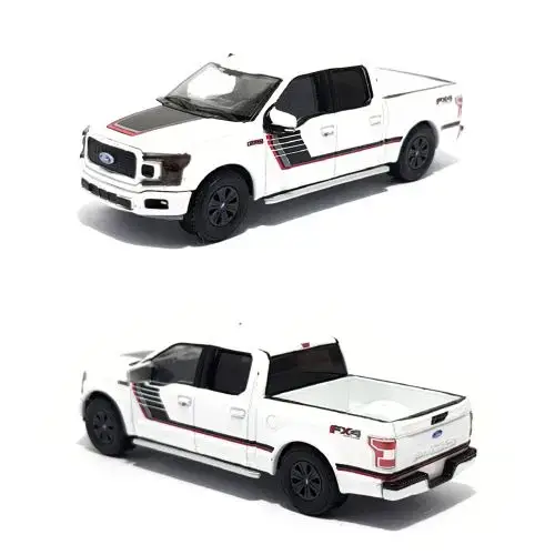 Ford_FbindestrichSeries_2018-Fbindestrich150-Lariat-Fx4-Special-Edition-Package_Greenlight
